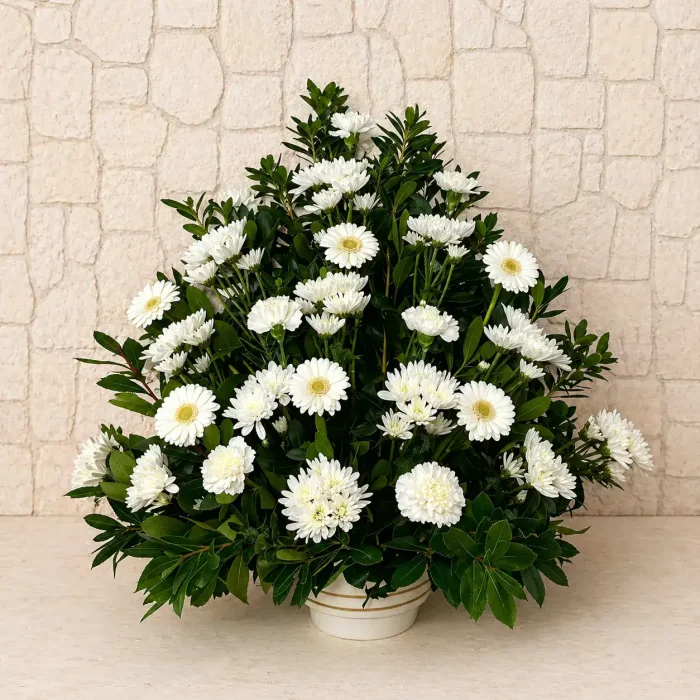 centro_crisanteos_blancos